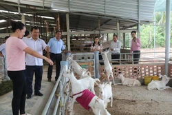 Tiền Giang huy động nguồn lực xây dựng nông thôn mới