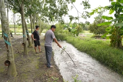Tây Ninh: Cần xử lý dứt điểm cơ sở chăn nuôi lợn gây ô nhiễm trong nhiều năm