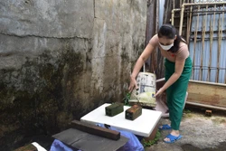 Đắk Lắk: Cảnh giác với bệnh sốt xuất huyết