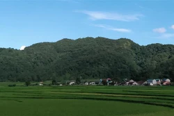 Phong Châu xây dựng nông thôn mới kiểu mẫu