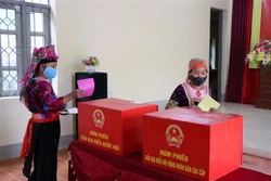 Trên 365.000 cử tri Điện Biên phấn khởi đi bỏ phiếu