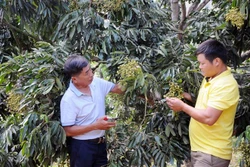Khẳng định thương hiệu nhãn Sông Mã