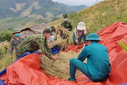Trưởng Ban Kinh tế Trung ương Trần Tuấn Anh: Cần có chủ trương mới, toàn diện, tập trung, phù hợp với thực tiễn vùng Trung du và miền núi Bắc bộ