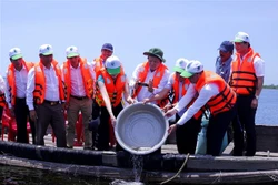 Thành lập Khu bảo tồn thiên nhiên đất ngập nước Tam Giang – Cầu Hai