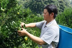 Mường Khương - Rẻo cao biên giới nỗ lực thoát nghèo
