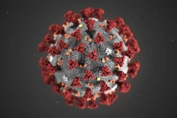 Việt Nam ghi nhận thêm trường hợp thứ 8 dương tính với chủng mới của virus Corona