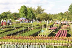 Nhà nông làm du lịch ở Đồng Tháp