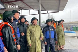 Ông Hà Sỹ Đồng, Phó Chủ tịch UBND tỉnh Quảng Trị kiểm tra công tác ứng phó bão số 6 tại chợ cá Cửa Tùng. Ảnh: Thanh Thủy - TTXVN