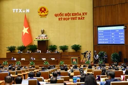Quốc hội thông qua Luật Bảo hiểm xã hội (sửa đổi). Ảnh: Doãn Tấn - TTXVN
