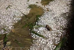 Mưa lớn kéo dài gây nhiều thiệt hại tại Bắc Kạn