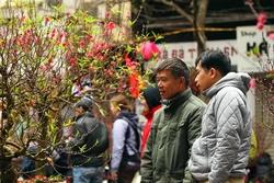 Hà Nội tưng bừng sắc Xuân