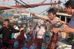 Cứu hộ ngư dân trên tàu cá bị đâm chìm ở Hoàng Sa