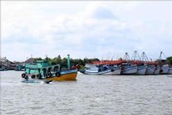 Khuyến cáo ngư dân thực hiện các quy định khắc phục "thẻ vàng" IUU