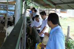 Phát triển kinh tế hộ bền vững tại Ninh Thuận
