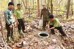 Bình Phước sẵn sàng ứng phó nguy cơ cháy rừng trong mùa khô