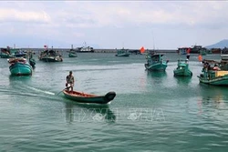 Kiên Giang đầu tư hơn 180 tỷ đồng sửa chữa, nâng cấp cảng cá