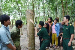 Mô hình “gắn kết hộ” giúp bà con vùng biên thoát nghèo