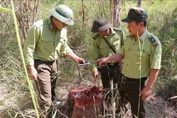 Nỗ lực bảo tồn hệ sinh thái Vườn Quốc gia Yok Đôn