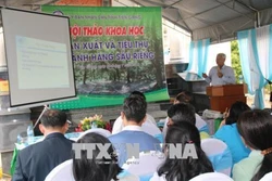 Tiền Giang tìm giải pháp đẩy mạnh sản xuất và tiêu thụ sầu riêng