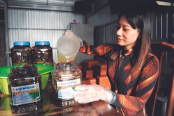 Nghề muối ba khía truyền thống ở tỉnh Cà Mau được công nhận là di sản văn hóa phi vật thể cấp Quốc gia vào cuối năm 2019. Ảnh: An Hiếu