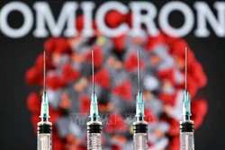 Hình ảnh các bơm tiêm và biến thể COVID-19 mới Omicron. Ảnh: AFP/TTXVN