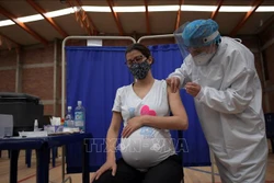 Tiêm vaccine ngừa COVID-19 cho phụ nữ mang thai tại Bogota, Colombia ngày 23/7/2021. Ảnh: AFP/TTXVN