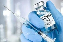 Nghiên cứu về khoảng cách giữa các mũi tiêm vaccine phòng COVID-19 đối với thai phụ