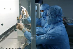 Nghiên cứu sản xuất vaccine trên trứng gà có phôi tại nhà máy sản xuất vaccine đặt ở huyện Cam Lâm, tỉnh Khánh Hòa. Ảnh: TTXVN phát