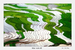 Mùa nước đổ