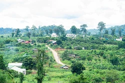 Nhằm phát triển kinh tế hộ gia đình, huyện Ia H’Drai (Kon Tum) đã khuyến khích, tạo điều kiện thuận lợi để đồng bào phát triển các mô hình trồng trọt, chăn nuôi. Ảnh: Văn Phương