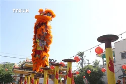 Rộn ràng múa Lân Sư Rồng ngày xuân