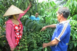 Thi đua là biết lo làm ăn, giúp đỡ lẫn nhau trong cuộc sống!