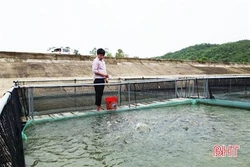 Trần Đình Thanh nuôi cá dày đặc trong lồng nhựa năng suất 20 kg/m3, 4 tháng thu 1 tỷ