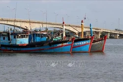 Gần 55 tỷ đồng hỗ trợ ngư dân khai thác hải sản xa bờ