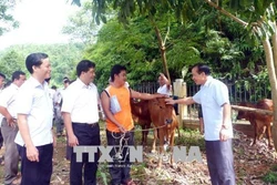 Tuyên Quang hỗ trợ các hộ đồng bào dân tộc thiểu số thoát nghèo bền vững