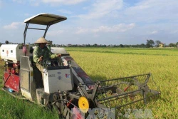Thí điểm cơ chế tích tụ đất đai để hấp dẫn nhà đầu tư