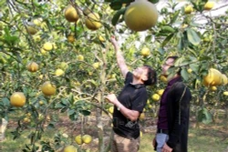 Xây dựng nông thôn mới ở huyện Hiệp Hòa-Bắc Giang: Phát huy vai trò “chủ thể” của người dân