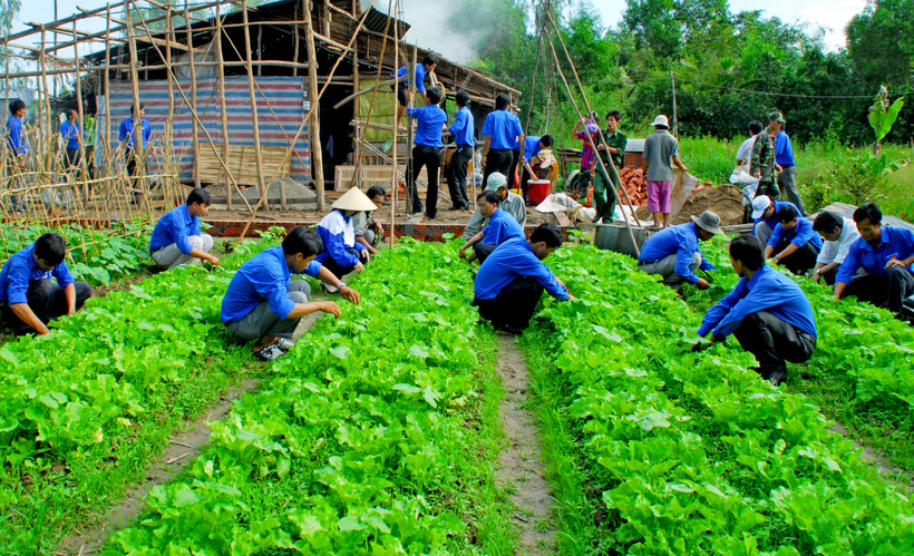 Bạc Liêu thu hút trí thức trẻ tình nguyện tham gia phát triển nông thôn