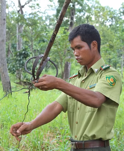 : Lực lượng kiểm lâm đi kiểm tra, tháo dỡ bẫy thú.