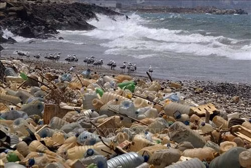 Rác thải nhựa trôi dạt vào bờ biển ở Ouzai, phía nam Beirut, Liban ngày 19/7/2018. Ảnh: AFP/ TTXVN Rác thải nhựa trôi dạt vào bờ biển ở Ouzai, phía nam Beirut, Liban ngày 19/7/2018. Ảnh: AFP/ TTXVN