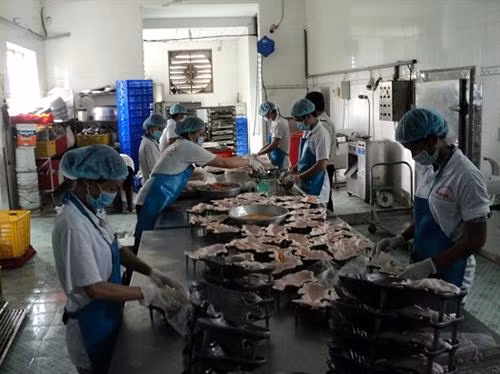 Ảnh: travinh.gov.vn
