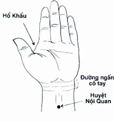 Huyết áp cao: Xoa bóp 3 huyệt vị này thì mất ngủ, khó ngủ sẽ không còn đeo bám ảnh 1