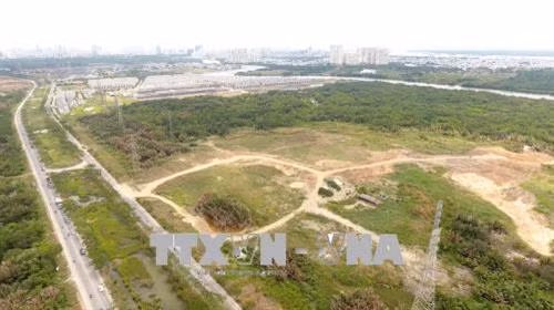 Khu đất hơn 32 ha được Công ty Tân Thuận chuyển nhượng không đúng quy định cho Công ty Quốc Cường Gia Lai. Ảnh: TTXVN phát