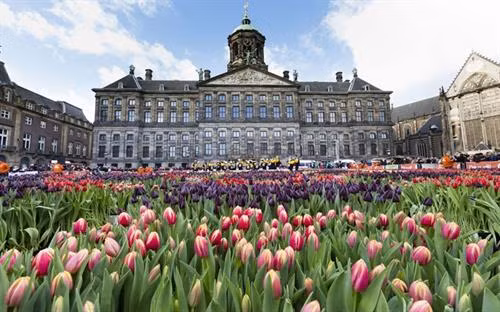 Nằm tại Lisse, một thị trấn nhỏ ở phía nam thủ đô Amsterdam, công viên Keukennhof còn được biết đến là "vườn châu Âu". Đây là vườn hoa lớn nhất thế giới với diện tích khoảng 32 ha và bảy triệu bông hoa tuy-líp thuộc 100 giống khác nhau. Ảnh: nhandan.com.vn Nằm tại Lisse, một thị trấn nhỏ ở phía nam thủ đô Amsterdam, công viên Keukennhof còn được biết đến là "vườn châu Âu". Đây là vườn hoa lớn nhất thế giới với diện tích khoảng 32 ha và bảy triệu bông hoa tuy-líp thuộc 100 giống khác nhau Đối với mỗi người dân Hà Lan, cối xay gió đã tạo nên đất nước của họ. Đây là niềm tự hào không gì sánh nổi và Kinderdijk là một trong những nơi lưu giữ tốt nhất của niềm tự hào ấy. Người ta gọi Kinderdijk là ngôi làng cối xay gió, bởi nơi đây tập hợp các cối xay gió mang nhiều giá trị lịch sử nhất tại Hà Lan. Hệ thống cối xay gió của làng Kinderdijk được UNESCO công nhận là di sản thế giới vào năm 1997.. Ảnh: nhandan.com.vn Cách Amsterdam khoảng 20 km, làng Zaanse Schans là một quần thể văn hóa gồm nhiều cối xay gió cổ và những bảo tàng lưu giữ các nét văn hóa truyền thống của người Hà Lan.. Ảnh: nhandan.com.vn Cung điện Hoàng gia tại Amsterdam vô cùng cổ kính, nguy nga và tráng lệ. Công trình này bảo tồn nhiều di sản quý giá và những tác phẩm điêu khắc bậc thầy của Hà Lan. Ảnh: nhandan.com.vn Làng Giethoorn không hề có một con đường nào, phương tiện chủ yếu để di chuyển là thuyền. Hàng trăm cây cầu bắc qua các tuyến đường thủy, kết nối những ngôi nhà với nhau, các kênh rạch cũng dẫn đến phòng trưng bày nghệ thuật và cửa hàng lưu niệm.. Ảnh: nhandan.com.vn Những ngôi nhà sắc màu trên hồ Reitdiephaven ở TP Groningen từ lâu đã trở thành một trong những điểm đến hút khách nhất tại Hà Lan, đặc biệt là đối tượng giới trẻ. Ảnh: nhandan.com.vn Bộ trang phục của phụ nữ Hà Lan xuất hiện trong chương trình quảng cáo Sữa cô gái Hà Lan gắn liền với tuổi thơ của không ít thế hệ người Việt Nam. Khi nói đến trang phục của người Hà Lan, không thể bỏ qua những đôi giày gỗ xinh xắn. Nguồn gốc của những đôi giày gỗ (hay guốc gỗ) xuất phát từ việc phần lớn đất liền Hà Lan đều nằm ngang hoặc thấp hơn mực nước biển cho nên đất nông nghiệp thường bị ngập úng, vào mùa đông thì nước ứ đọng sẽ bị đóng băng. Do đó, người Hà Lan nảy ra ý tưởng sáng chế những đôi giày gỗ giúp di chuyển dễ dàng, giữ chân khô ráo, đặc biệt là mùa đông thì ấm, mùa hè thì mát, thậm chí vào ngày đông khi trời quá lạnh người dùng có thể lót thêm rơm vào giày cho ấm và êm chân. Đôi giày gỗ cũng giúp những người vắt sữa bò bảo vệ đôi chân của họ không bị bò giẫm lên.... Ảnh: nhandan.com.vn Người hâm mộ Hà Lan mặc trang phục của đội tuyển bóng đá quốc gia "Cơn lốc mầu da cam". Ảnh: nhandan.com.vn Ở Hà Lan có đầy đủ phương tiện giao thông hiện đại nhưng xe đạp vẫn là sự lựa chọn phổ biến nhất. Những chiếc xe đạp xuất hiện trên đường phố Hà Lan tạo nên một không gian thanh bình và thư thả. Đạp xe đi khám phá những ngóc ngách của đất nước này chắc chắn sẽ là trải nghiệm khó quên đối với du khách.. Ảnh: nhandan.com.vn