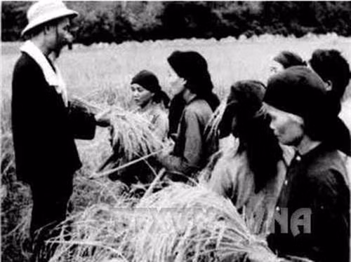 Hồ Chủ tịch thăm nông dân xã Hùng Sơn, huyện Đại Từ, tỉnh Thái Nguyên đang thu hoạch vụ lúa đầu tiên sau cải cách ruộng đất (1954). Ảnh: TTXVN Hồ Chủ tịch thăm nông dân xã Hùng Sơn, huyện Đại Từ, tỉnh Thái Nguyên đang thu hoạch vụ lúa đầu tiên sau cải cách ruộng đất (1954). Ảnh: TTXVN