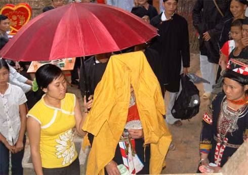 Trước khi lễ cưới được tổ chức thì cả nhà trai và nhà gái sẽ phải chuẩn bị lương thực, thực phẩm, đồ lễ và ông mờ, bà mờ… Khi sang nhà gái, nhà trai cử một đoàn đi đón dâu với số lượng bắt buộc là 11 người trong đó có trưởng đoàn, chủ hôn, chú rể, phù rể và các nam thanh niên trẻ, khỏe có tài hát đối đáp, tất cả đều mặc trang phục truyền thống của dân tộc. Sau khi lên nhà cô dâu, chú rể (choàng áo vàng) sẽ đi thẳng vào buồng cô dâu và đêm hôm đó sẽ ngủ lại một đêm tại buồng, còn cô dâu lại được giấu tạm đi nơi khác Trong khi đó, ở bên ngoài vẫn diễn ra mọi thủ tục, nghi lễ. Chuẩn bị cho cô dâu trước khi về nhà chồng. Đến giờ đã định, sau khi đã trang điểm xong thì cô dâu sẽ lên buồng và phải dùng quạt để che mặt bởi người Dao quan niệm, khi đi lấy chồng mà để hở mặt sẽ mất vía và cô dâu sẽ không gặp may trong suốt cuộc đời. Thầy mờ của nhà trai cũng choàng cho cô dâu chiếc áo vàng mà chú rể đã mặc hôm qua để thể hiện tình cảm giữa hai người. Đoàn nhà trai sẽ đứng hát xin dâu. Đến giờ đẹp (khoảng 10h đêm) là lễ kết tóc se tơ cho cô dâu chú rể. Người cầm bó đuốc sẽ đi trước với ý nghĩa là xua tà, đuổi cái ác, soi đường chỉ lối cho cô dâu. Ông mờ cùng các phù dâu, phù rể đưa cô dâu về nhà trai. Theo phong tục của người Dao thì dù xa hay gần, khi sang đến nhà trai, đoàn nhà gái cũng phải nghỉ lại ở đâu đó rồi đến giờ hoàng đạo (thường là vào khoảng 5h – 6h chiều) thì cô dâu mới được lên nhà trai. Đó là khoảng thời gian tốt nhất cho cô dâu và chú rể sau này. Em cô bên nhà chồng sẽ che ô cho cô dâu lên cầu thang với ý nghĩa nhà chồng sẽ che chở cho người mới vào nhà. Trong đám cưới của người Dao thì chú rể không được ra đón và cũng không được nhìn mặt cô dâu cho đến khi các nghi lễ lạy tạ tổ tiên được thực hiện xong. Những người đến dự đều chúc mừng hạnh phúc cho cô dâu, chú rể, tạo nên không khí vui tươi của cả bản làng