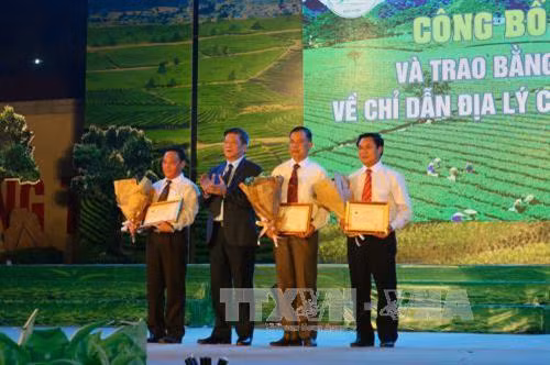 Trao giấy chứng nhận quyền sử dụng chỉ dẫn địa lý Chè Shan tuyết Mộc Châu cho các đơn vị. Ảnh: Hữu Quyết - TTXVN