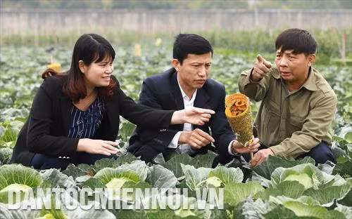 Ông Nguyễn Văn Minh - Giám đốc Hợp tác xã rau an toàn Văn Đức cùng cán bộ nông nghiệp của Chi cục Bảo vệ Thực vật Hà Nội thuộc Sở Nông nghiệp và Phát triển nông thôn Hà Nội đang tư vấn cho bà con xã viên phương pháp hạn chế sử dụng thuốc trừ sâu trong quá trình trồng rau.
