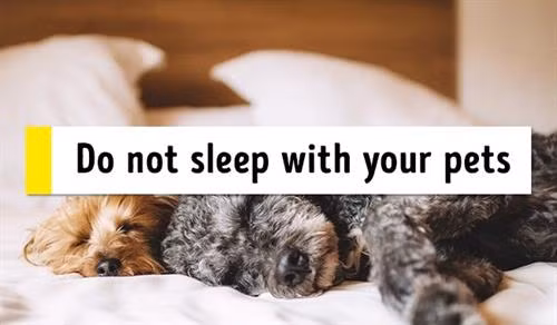 12 mẹo nhỏ giúp bạn dễ ngủ và dễ thức giấc đúng giờ ảnh 6 12 mẹo nhỏ giúp bạn dễ ngủ và dễ thức giấc đúng giờ ảnh 6
