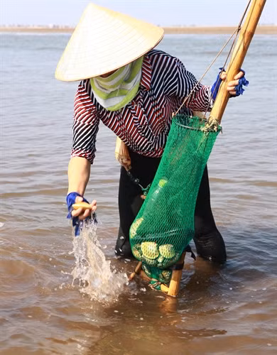 Người phụ nữ này rất thành thạo công việc của mình Người phụ nữ này rất thành thạo công việc của mình